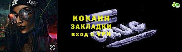 apvp Дмитриев