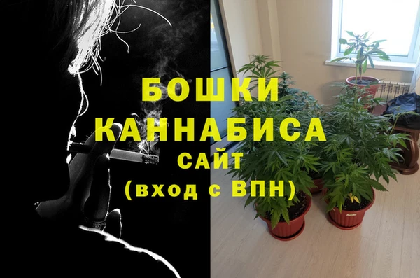 mix Гусев