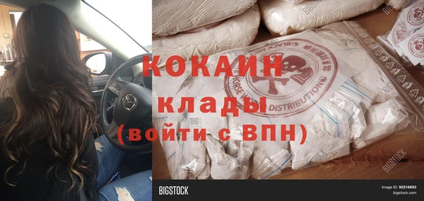 альфа пвп Дмитровск
