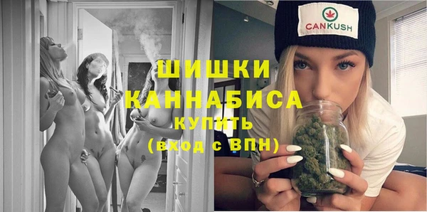 apvp Дмитриев