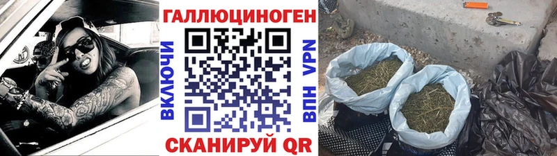 закладки  Назарово  Псилоцибиновые грибы MAGIC MUSHROOMS 