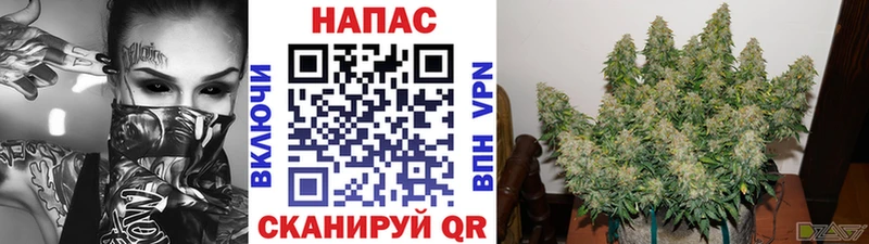 Шишки марихуана Bruce Banner  Назарово 